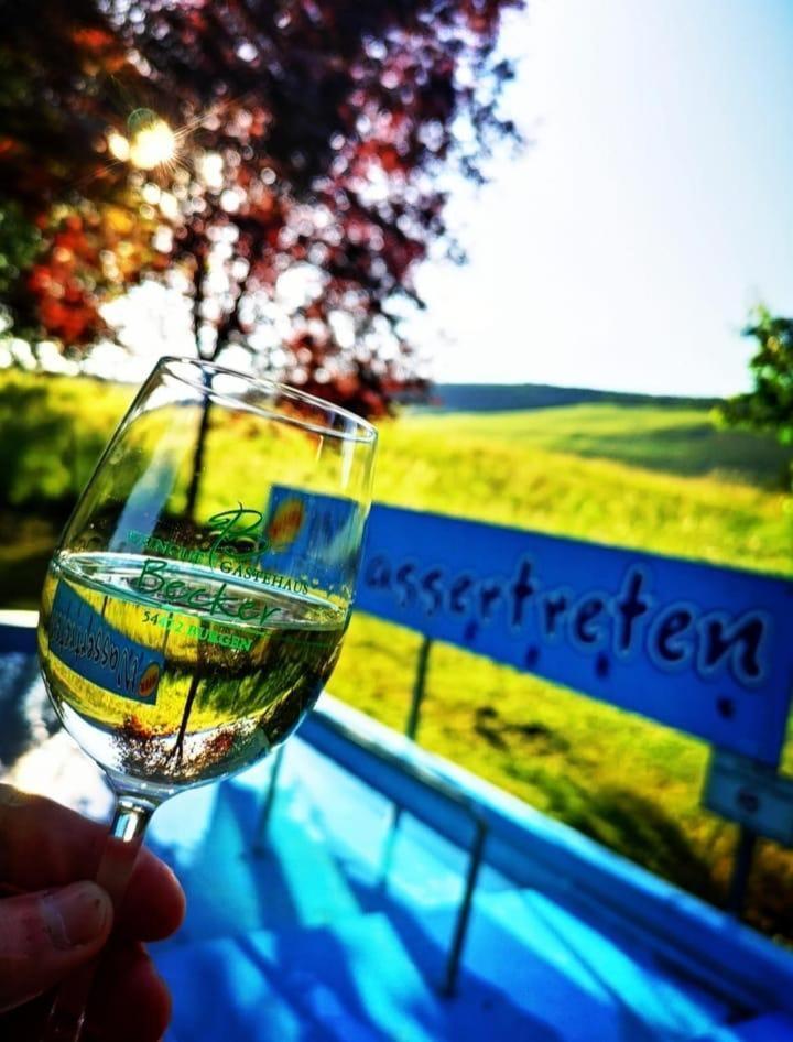 Апартаменты Ferienweingut & Gutsrestaurant Becker Burgen  Экстерьер фото